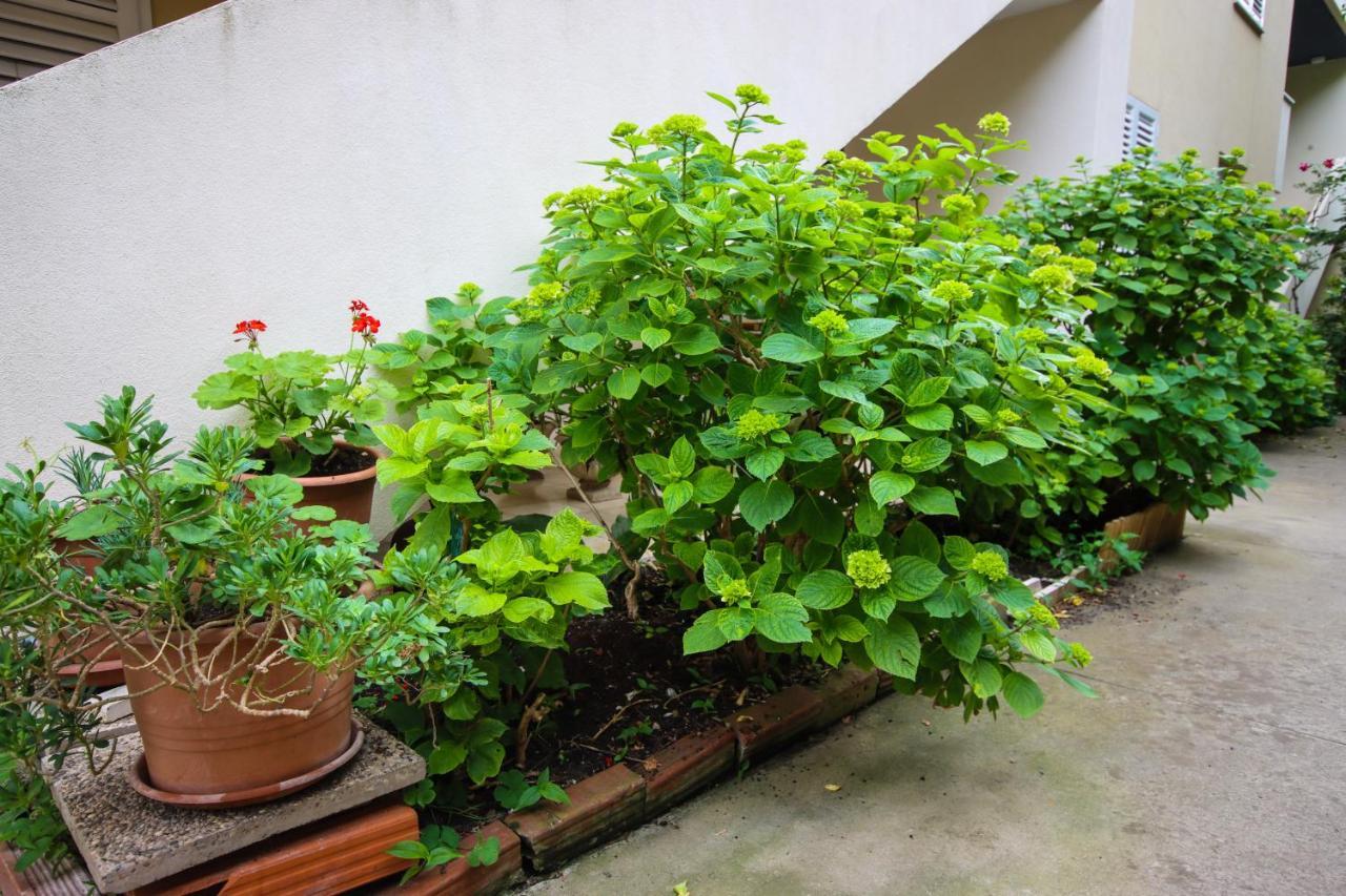 Apartment Passage 杜布罗夫尼克 外观 照片